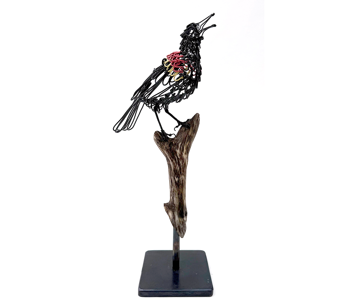 "Red-Winged Blackbird" - Colleen Cotey